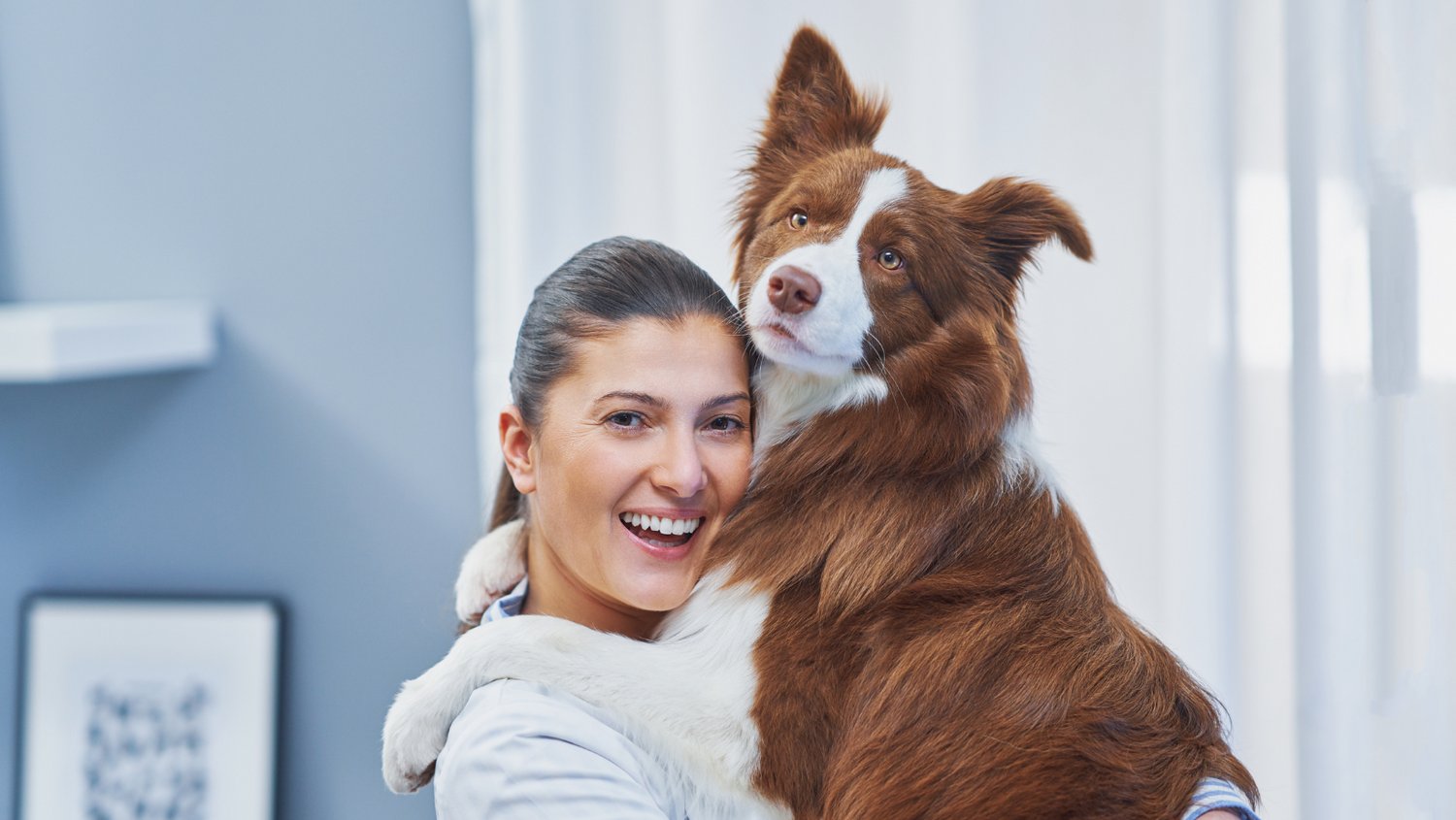 5 Steps To Calm Your Dog During a Vet Visit