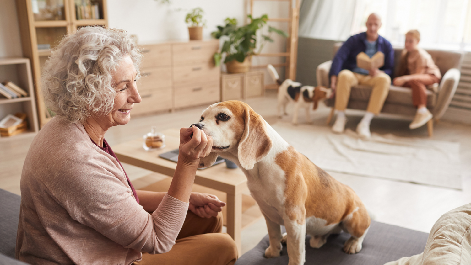 3 ways to ensure your senior dog is in best physical health