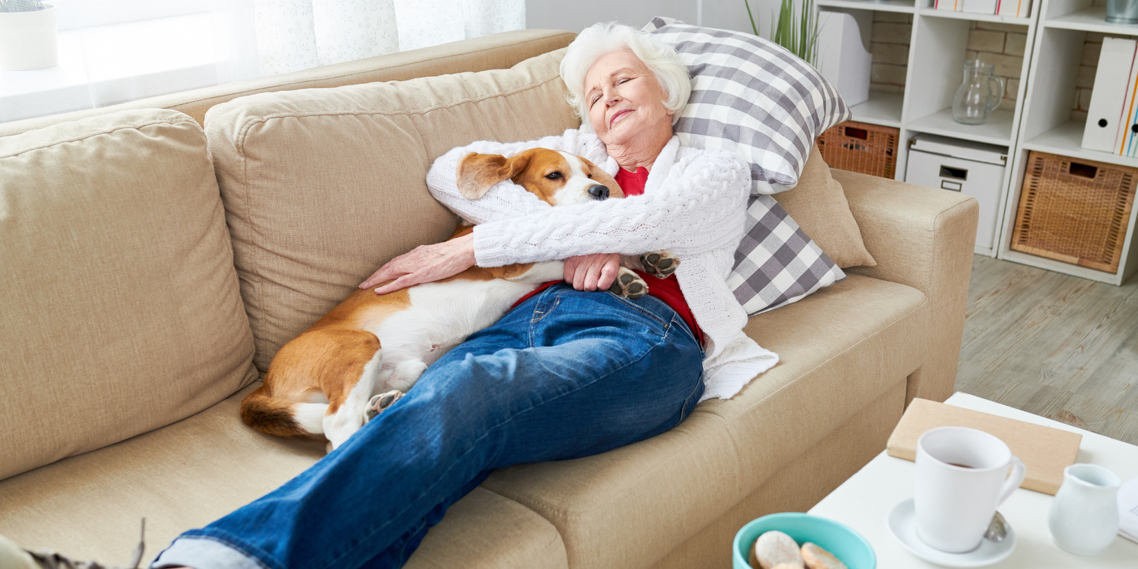 6 signs that your dog has imprinted on you