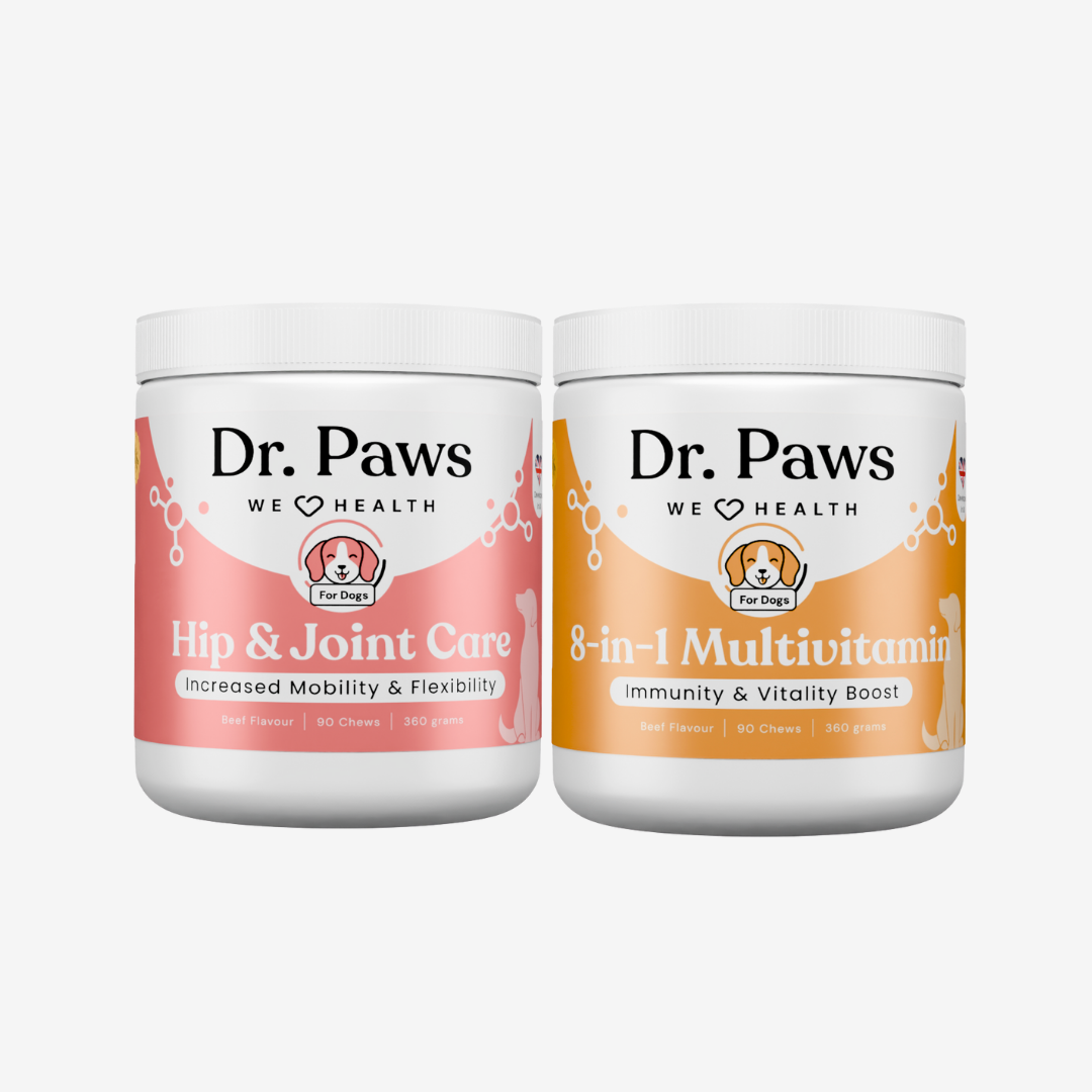 Senior Dog Boost Bundle