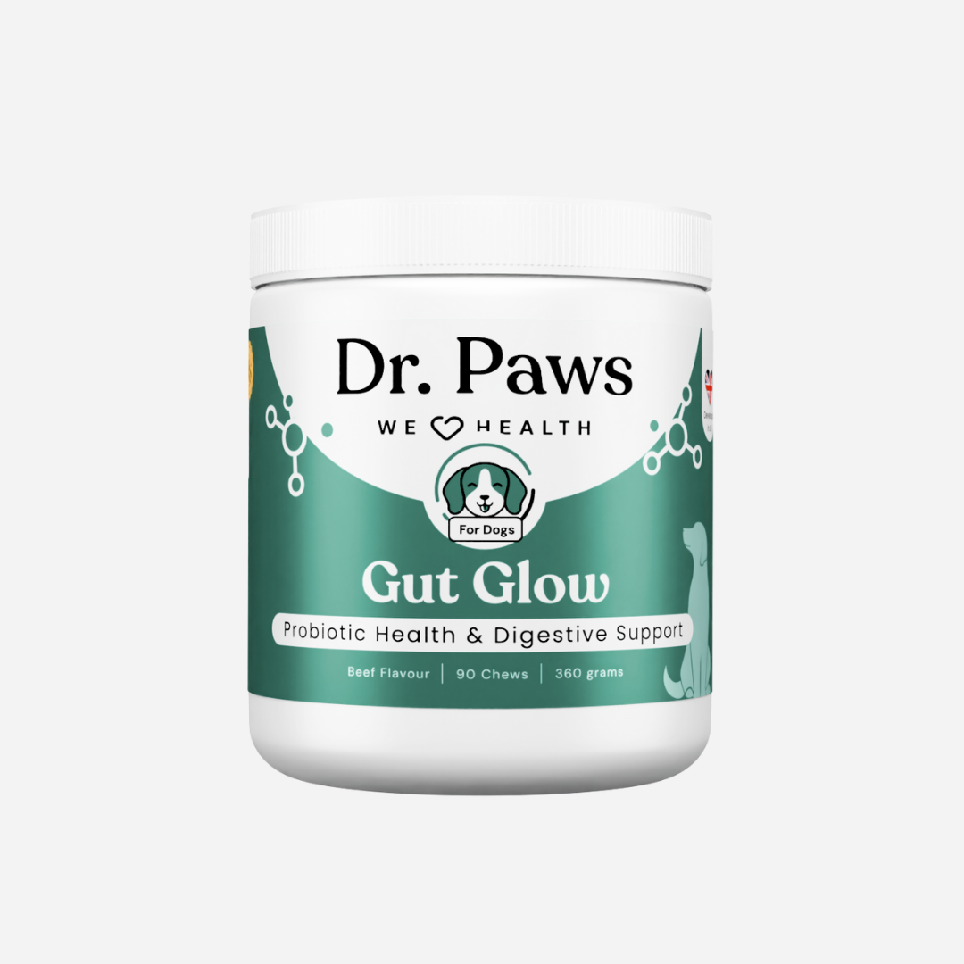 Gut Glow for Dogs