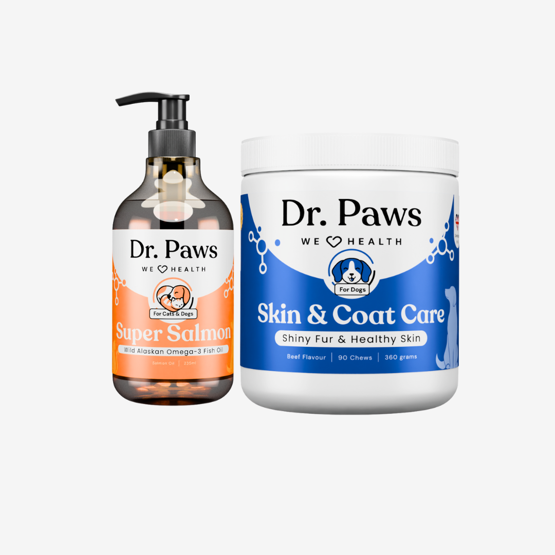 Shimmer and Shine Bundle