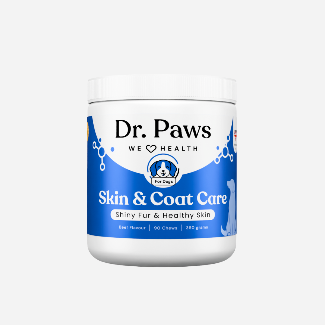Skin & Coat Care for Dogs