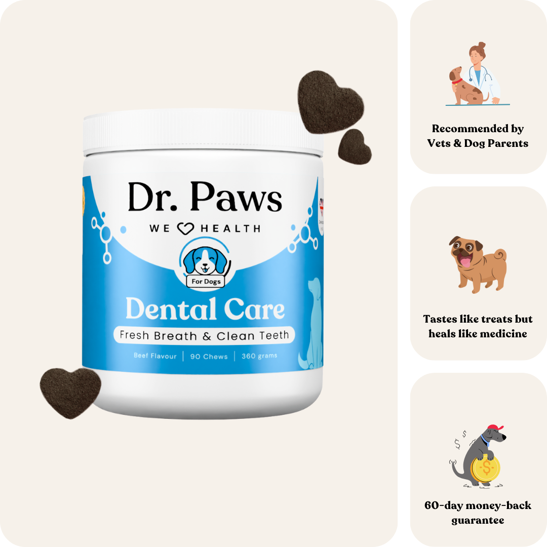 Dental Care for Dogs