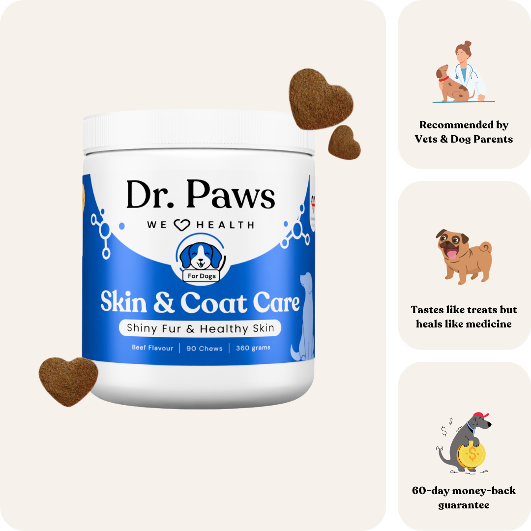 Skin & Coat Care for Dogs