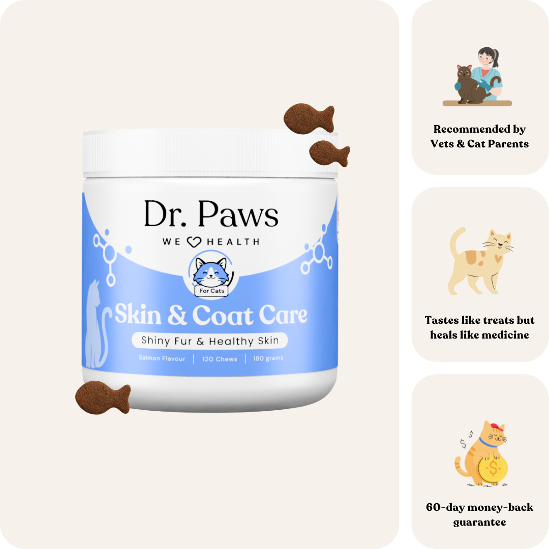 Skin & Coat Care for Cats
