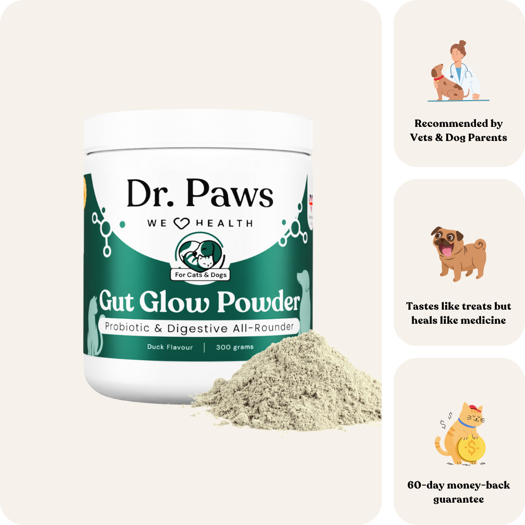 Gut Glow Powder for Cats & Dogs