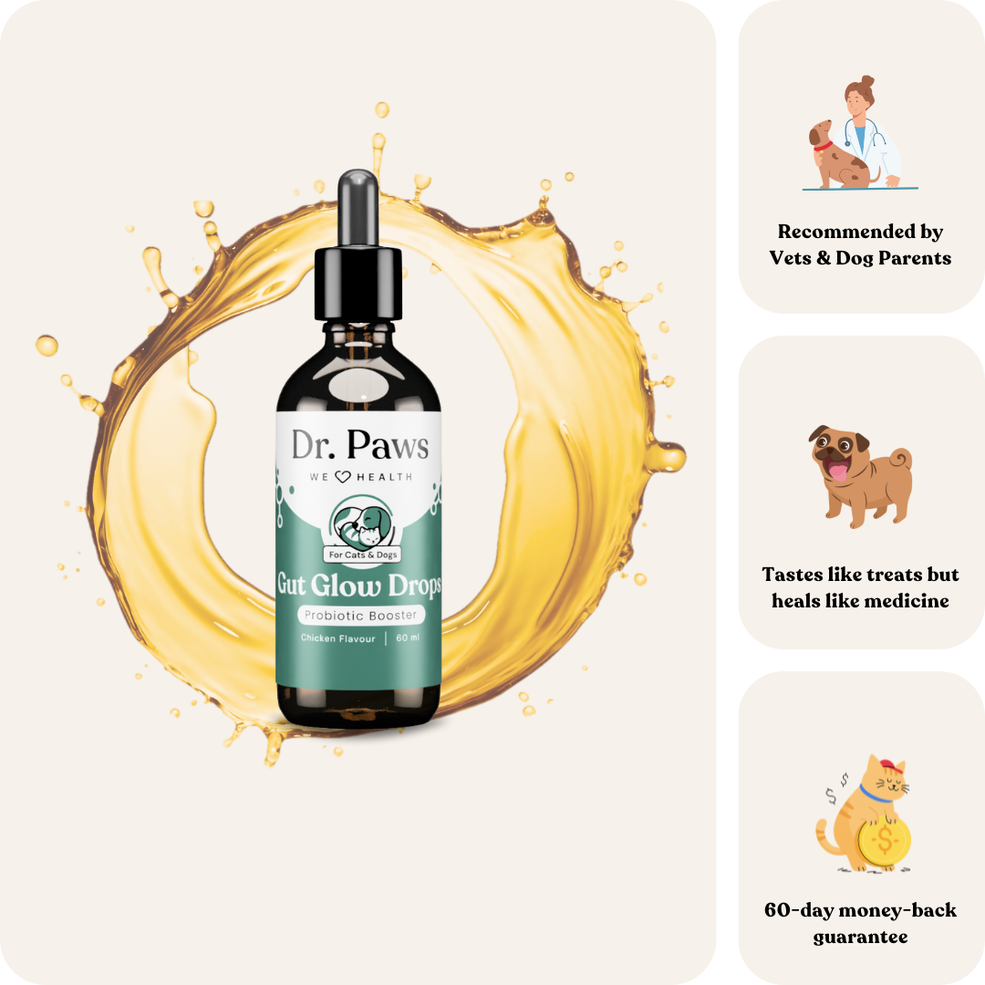 Gut Glow Drops for Cats & Dogs