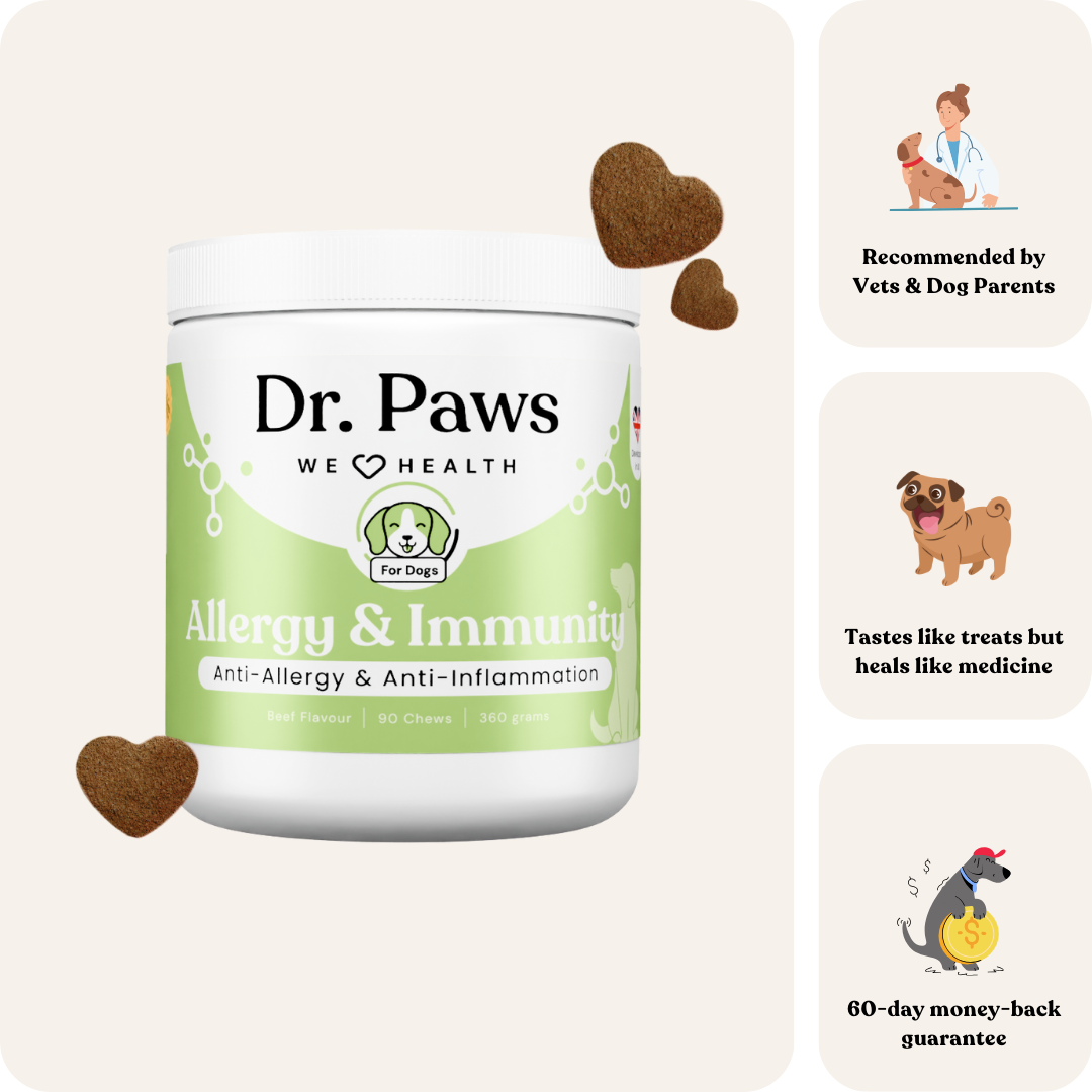 Allergy & Immunity for Dogs