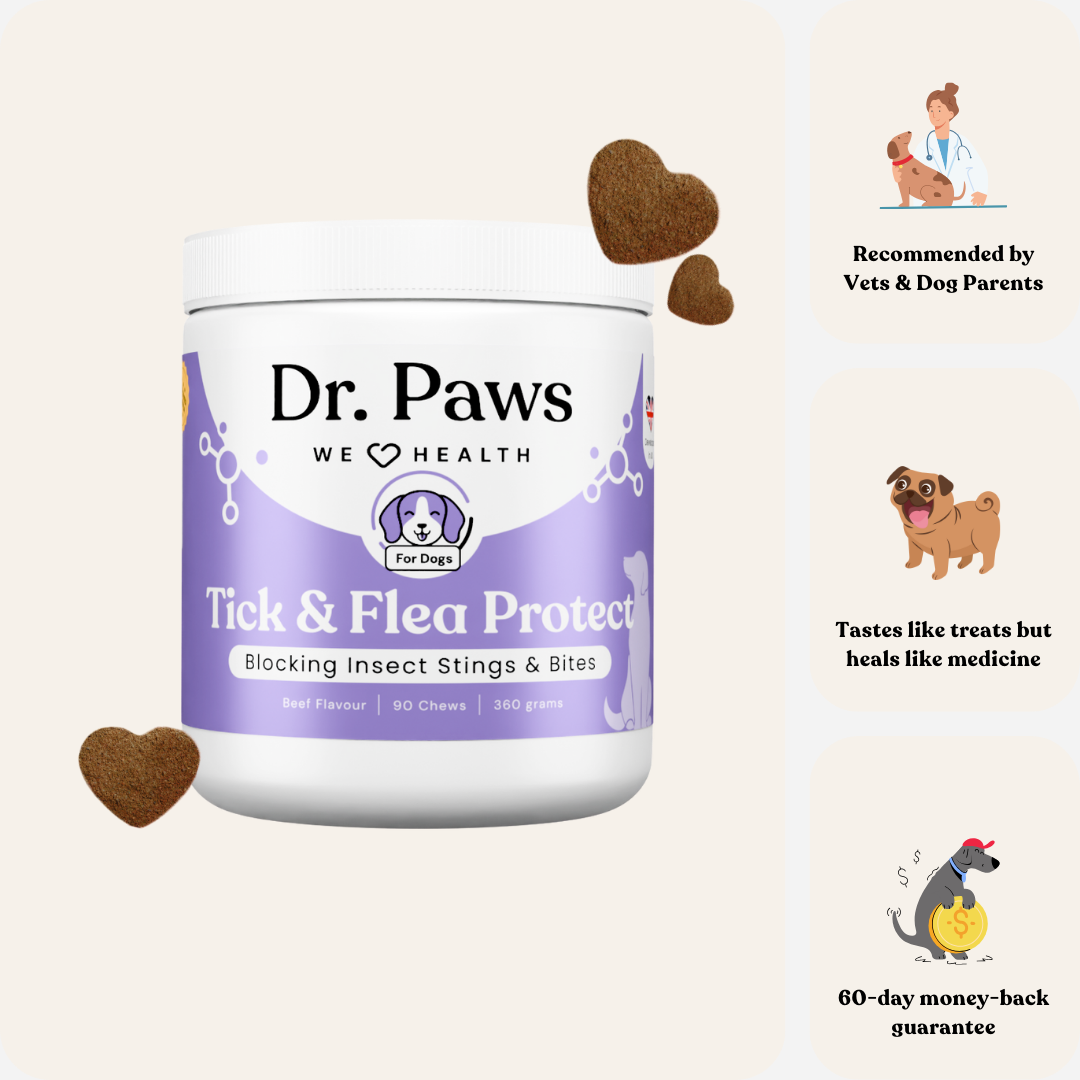 ๐๐ถ FREE Gift: 200g Tick & Flea Protect for Dogs (Value 119 MYR)
