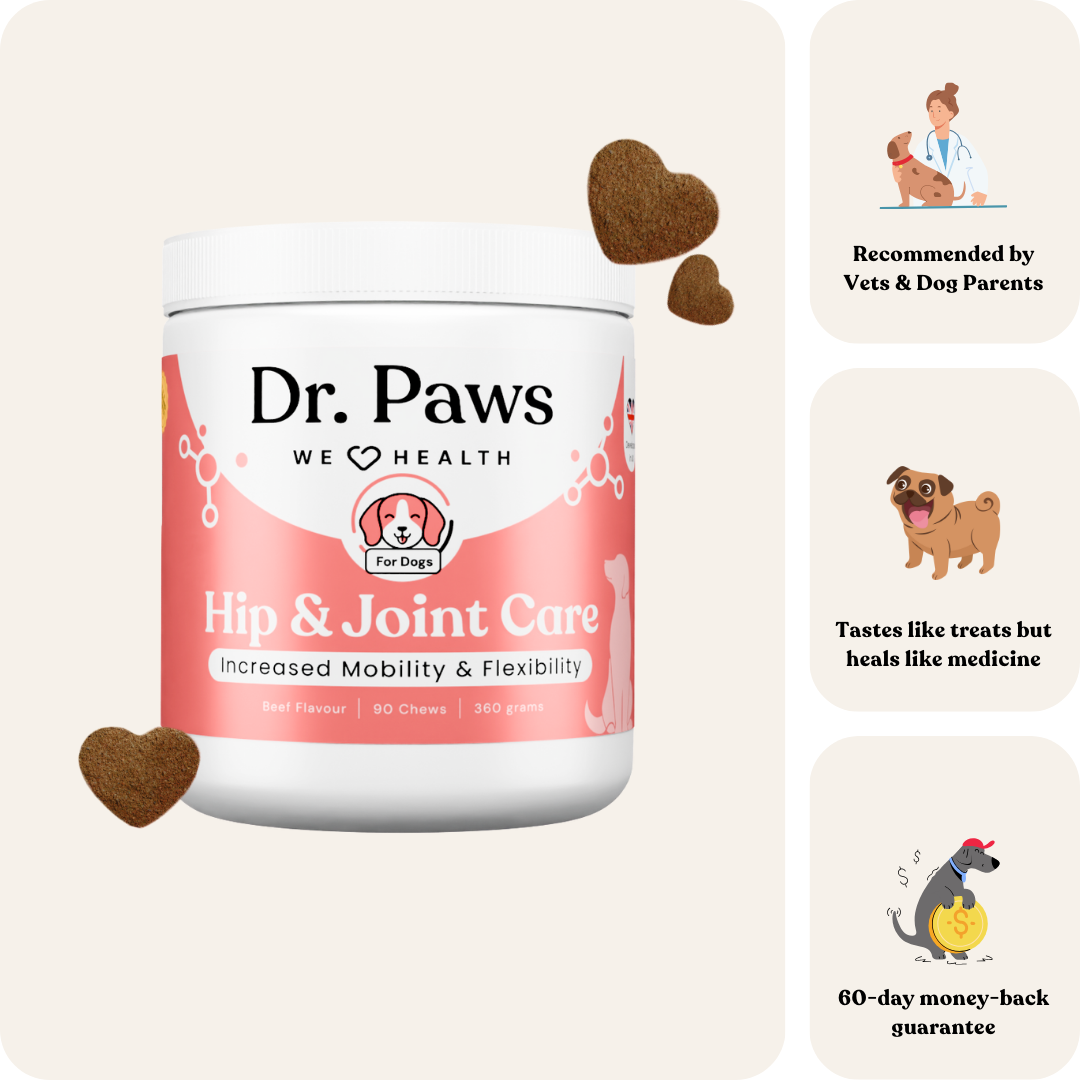 Hip & Joint Care for Dogs