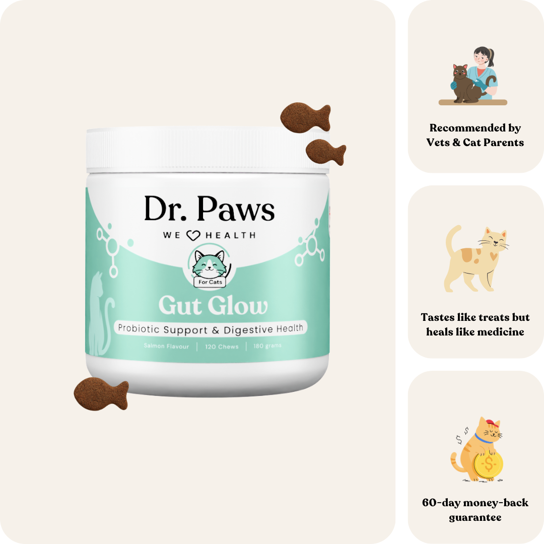 Gut Glow for Cats