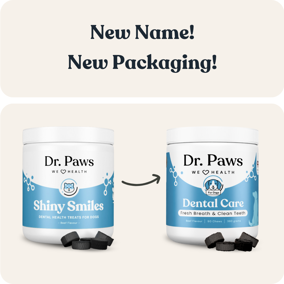 Dental Care for Dogs