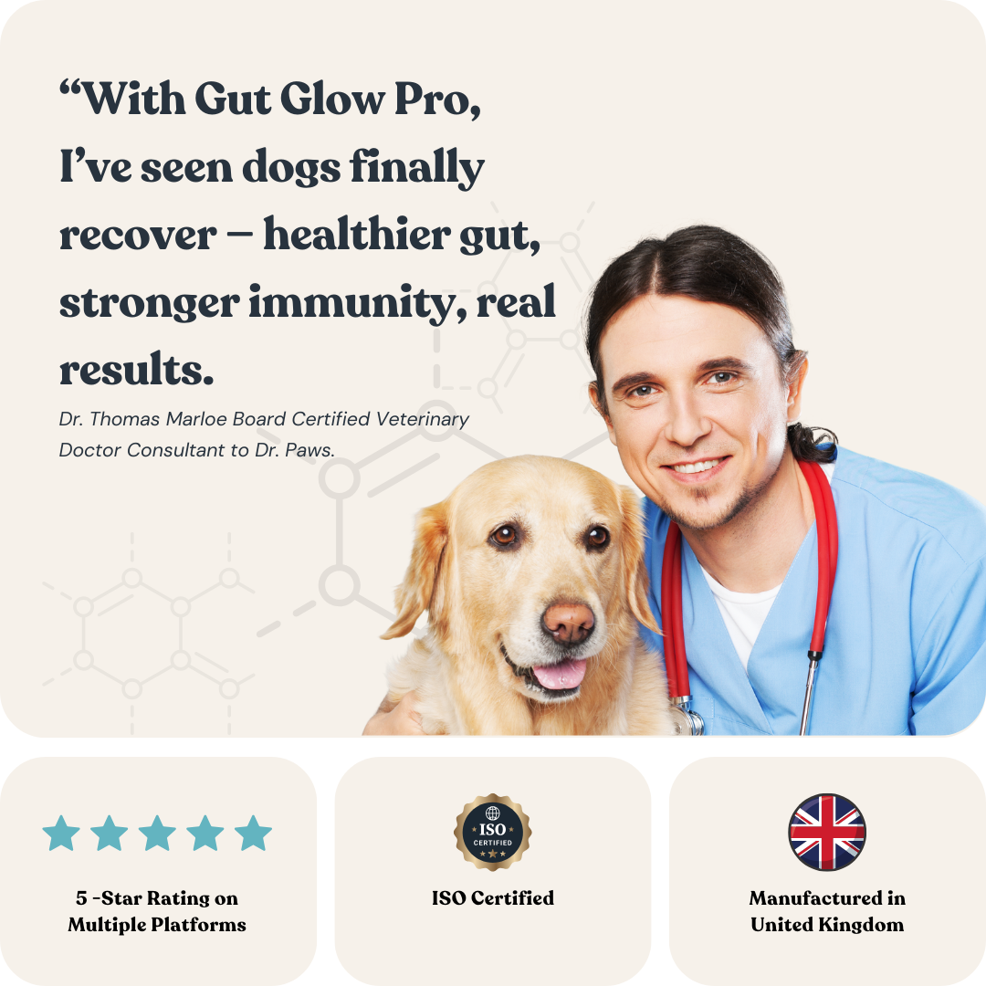 Gut Glow Pro for Dogs