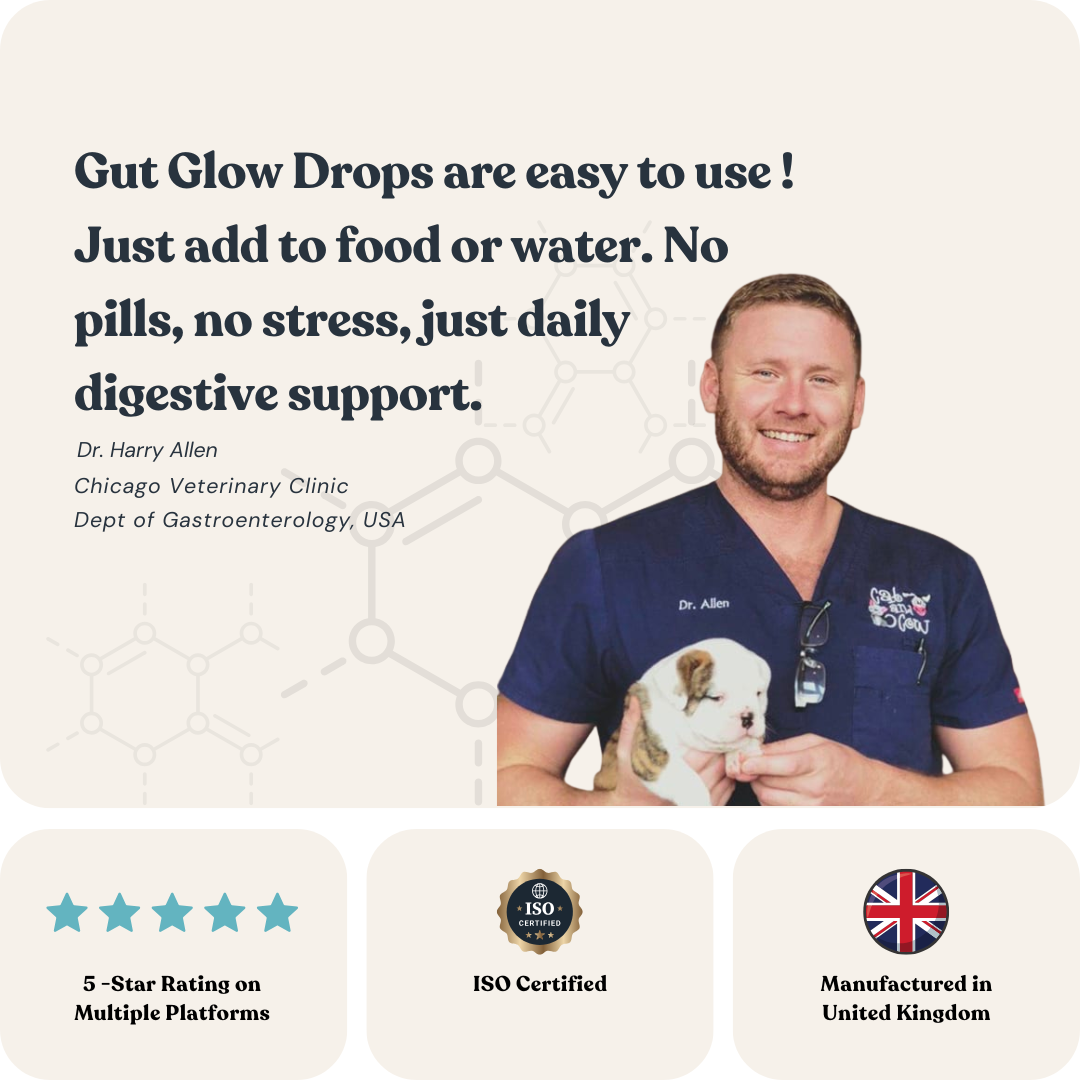 Gut Glow Drops for Cats & Dogs
