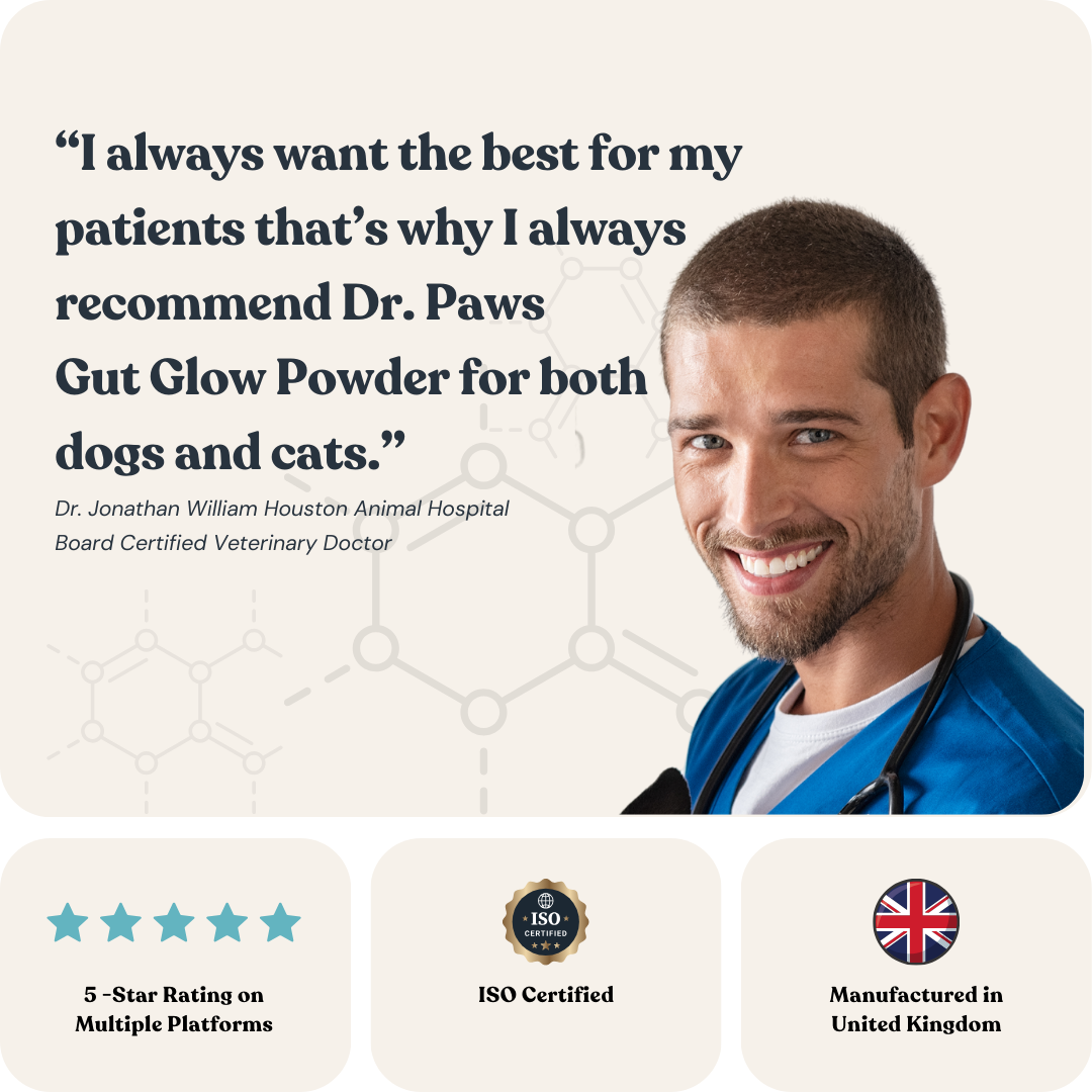 Gut Glow Powder for Cats & Dogs