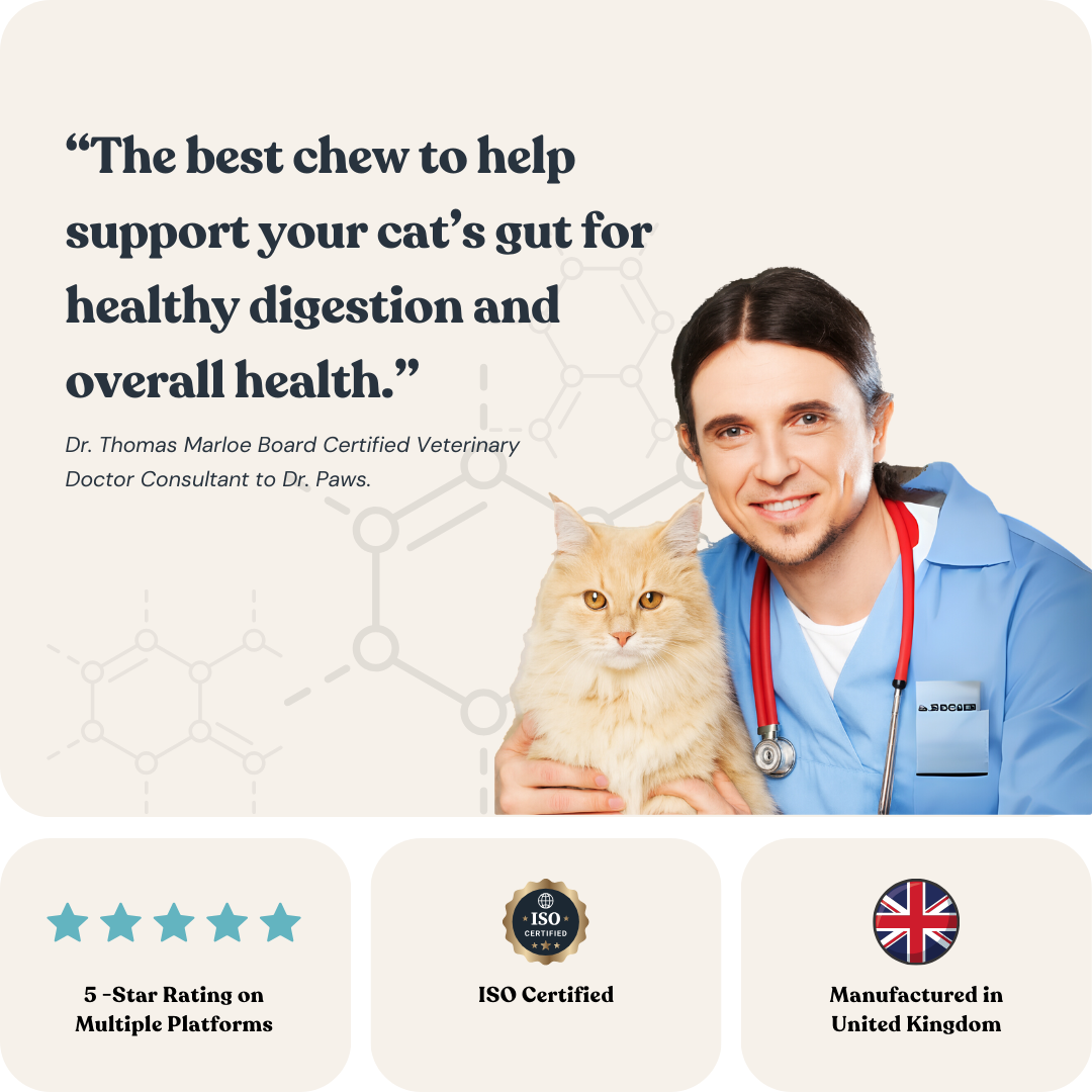 Gut Glow for Cats
