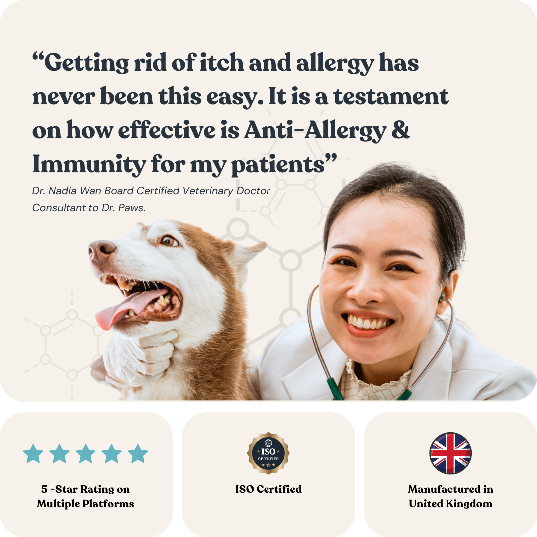 Allergy & Immunity for Dogs