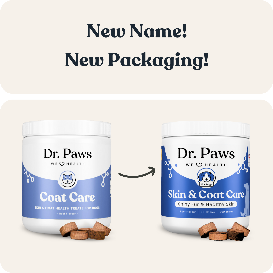 Skin & Coat Care for Dogs