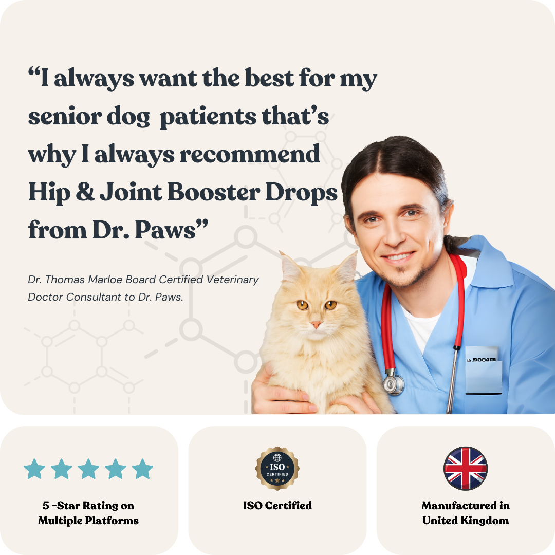 Hip & Joint Drops for Cats & Dogs