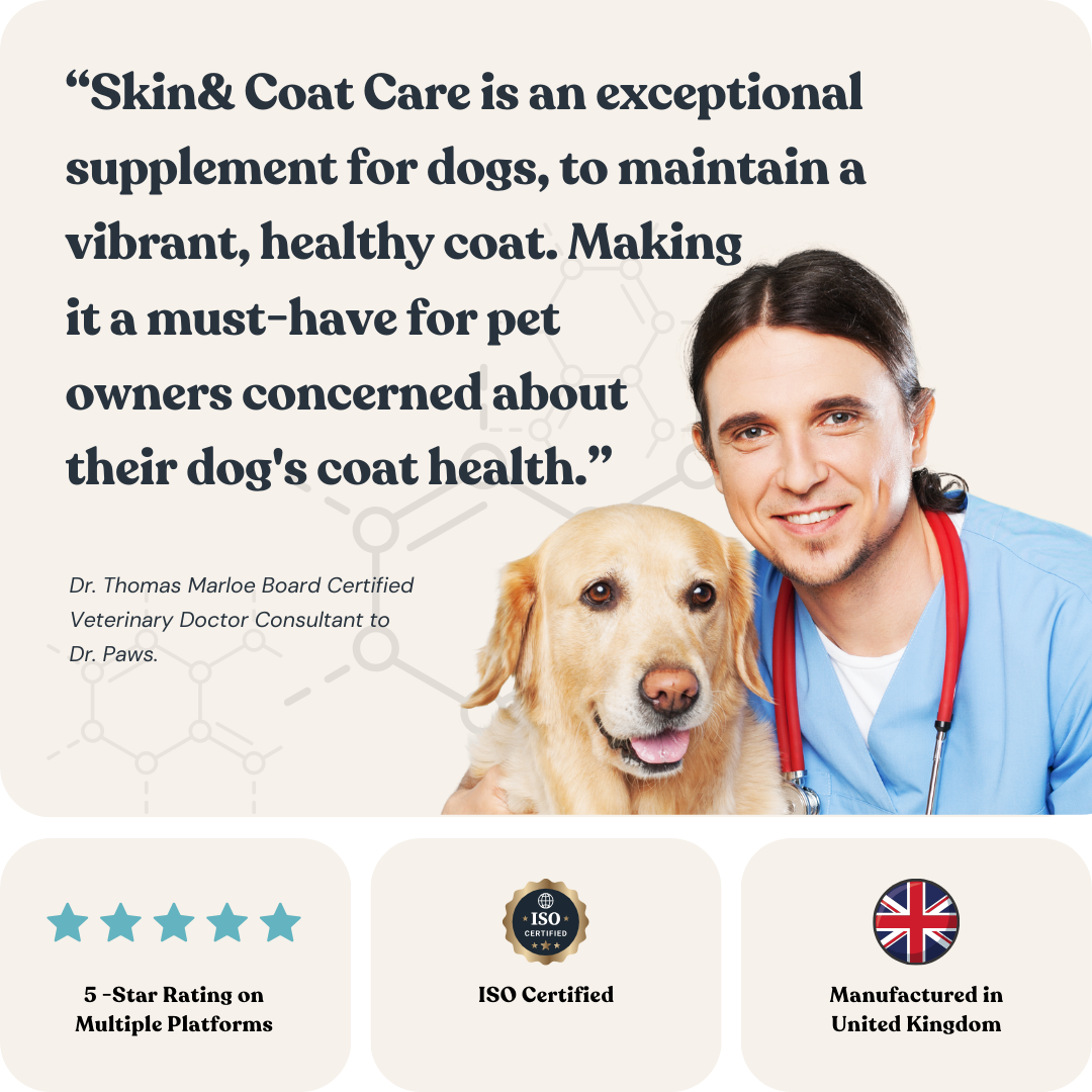 Skin & Coat Care for Dogs
