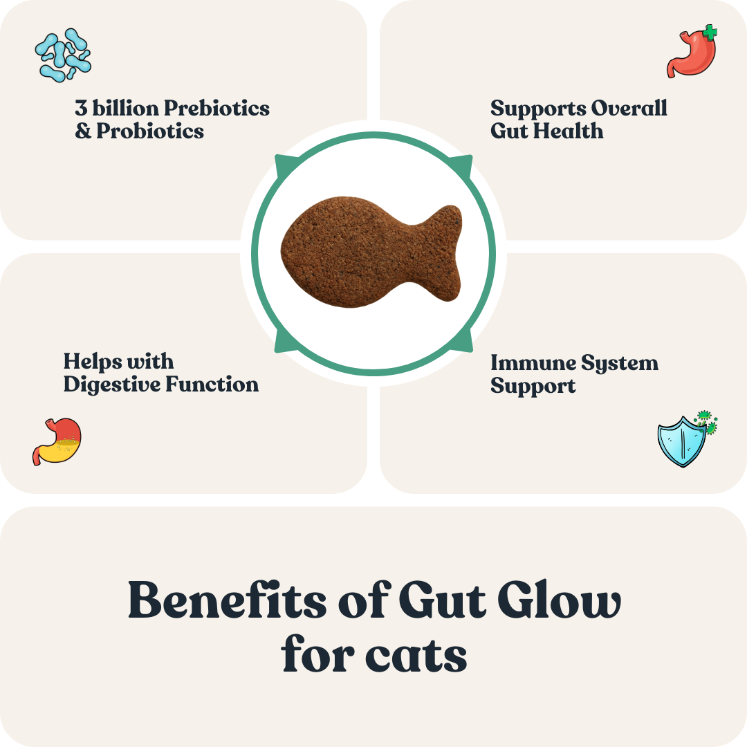 Gut Glow for Cats