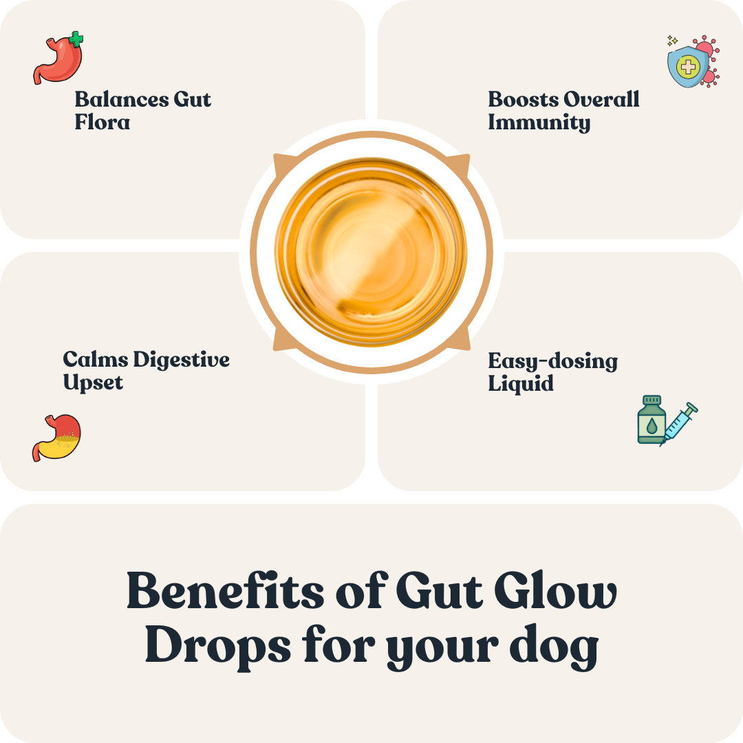 Gut Glow Drops for Cats & Dogs