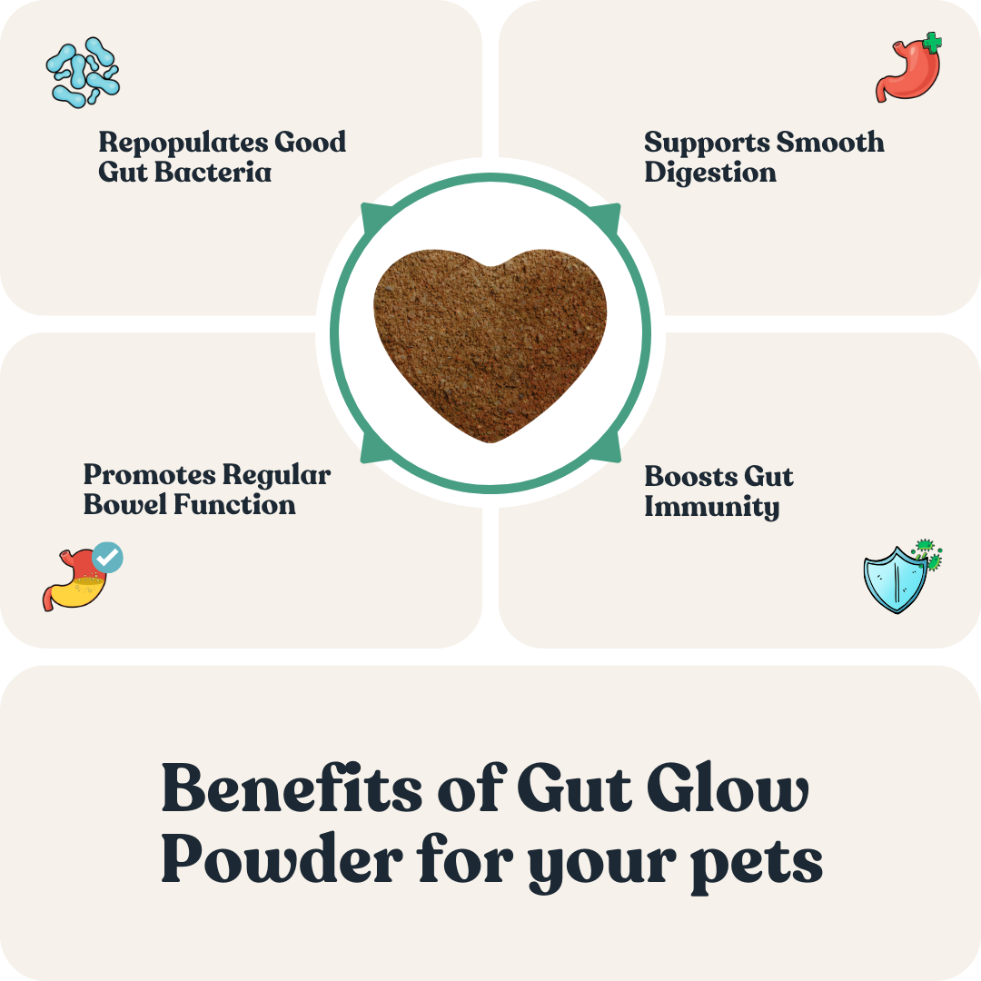 Gut Glow Powder for Cats & Dogs