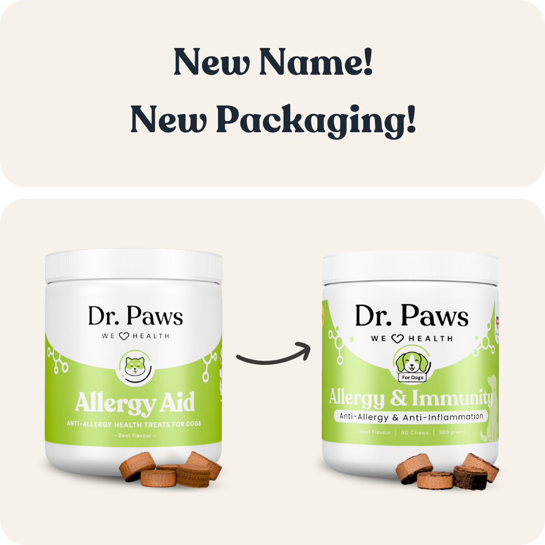 Allergy & Immunity for Dogs