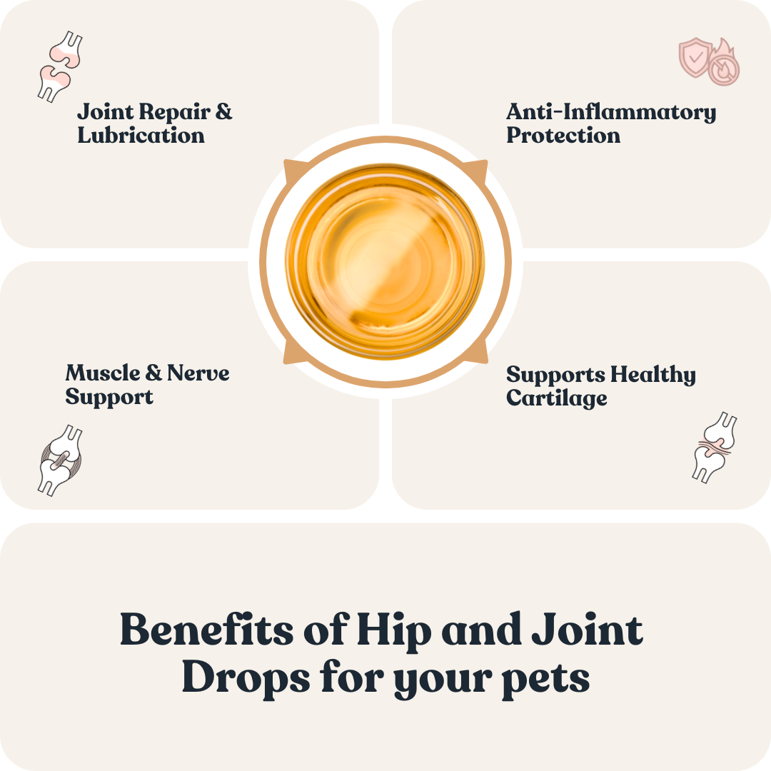 Hip & Joint Drops for Cats & Dogs