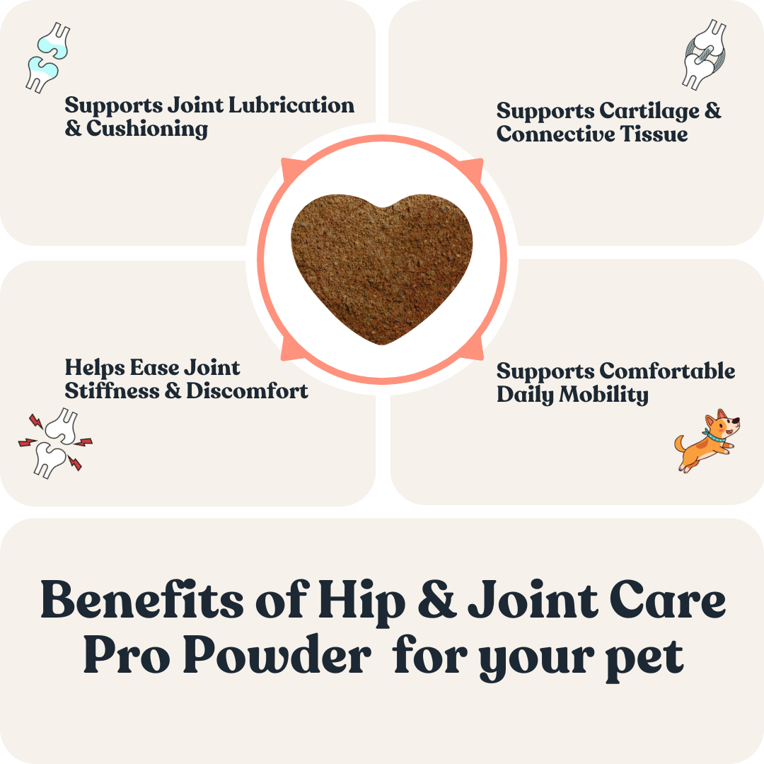 Hip & Joint Powder Pro for Cats & Dogs