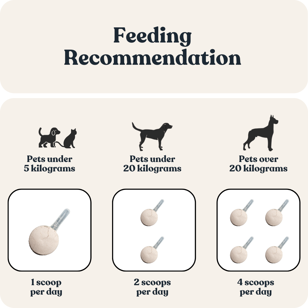 Gut Glow Powder for Cats & Dogs