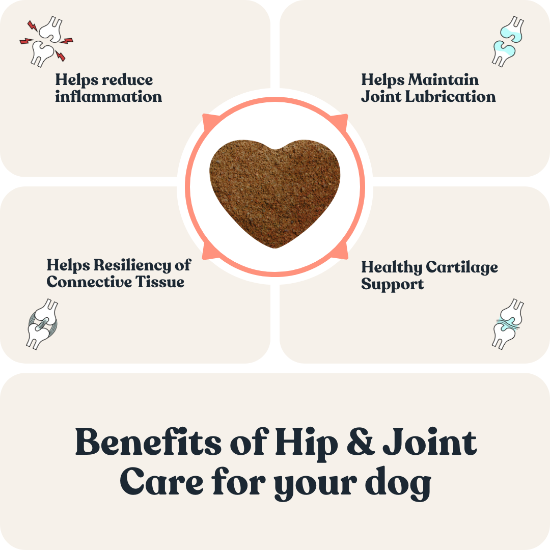 Hip & Joint Care for Dogs