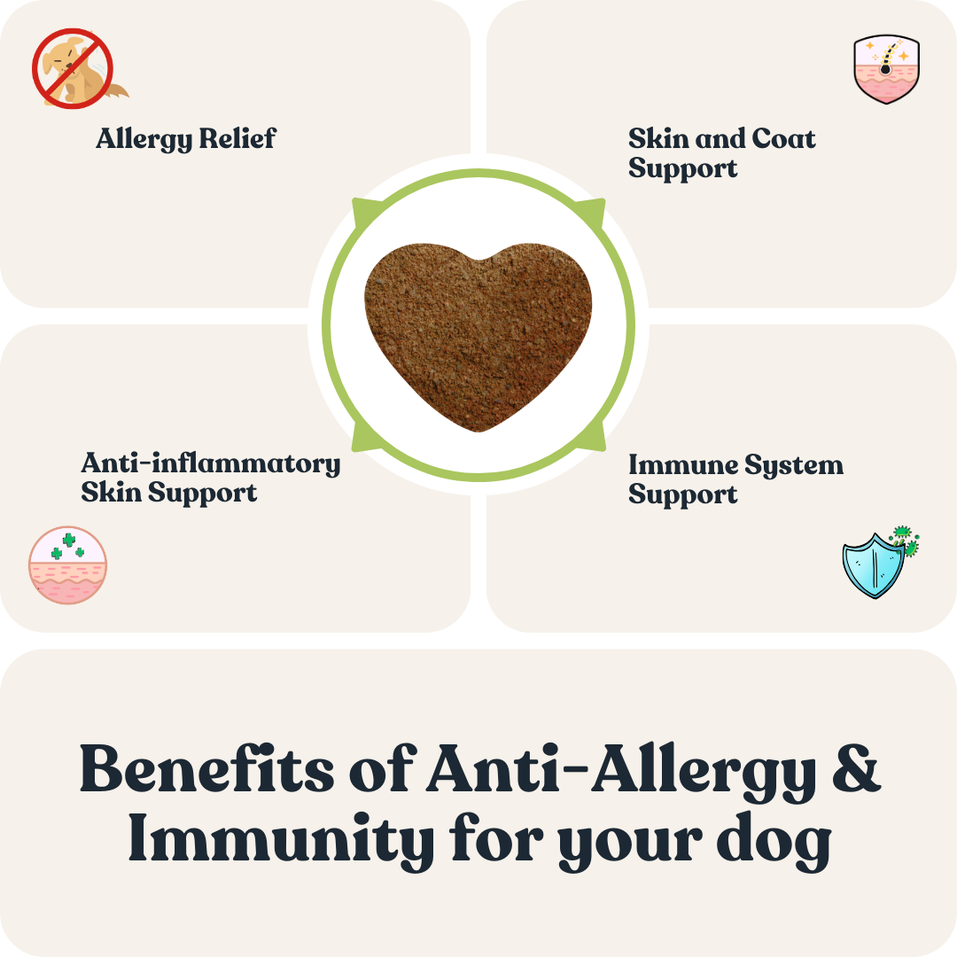 Allergy & Immunity for Dogs
