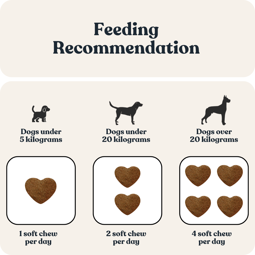 Gut Glow Pro for Dogs