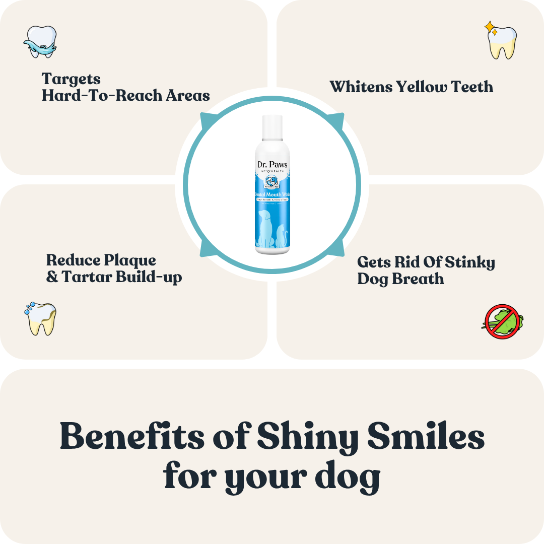 Dental Mouth Wash