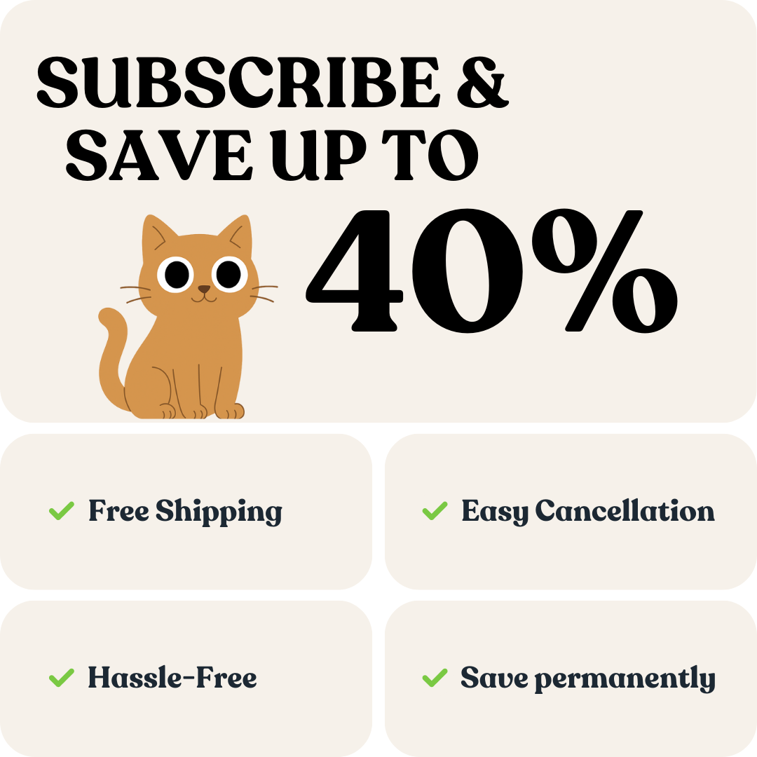 Skin & Coat Care for Cats