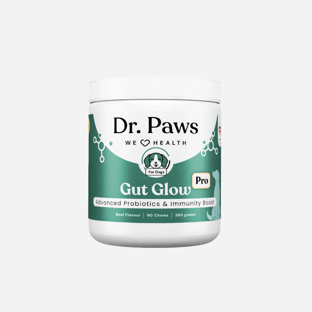 Gut Glow Pro for Dogs