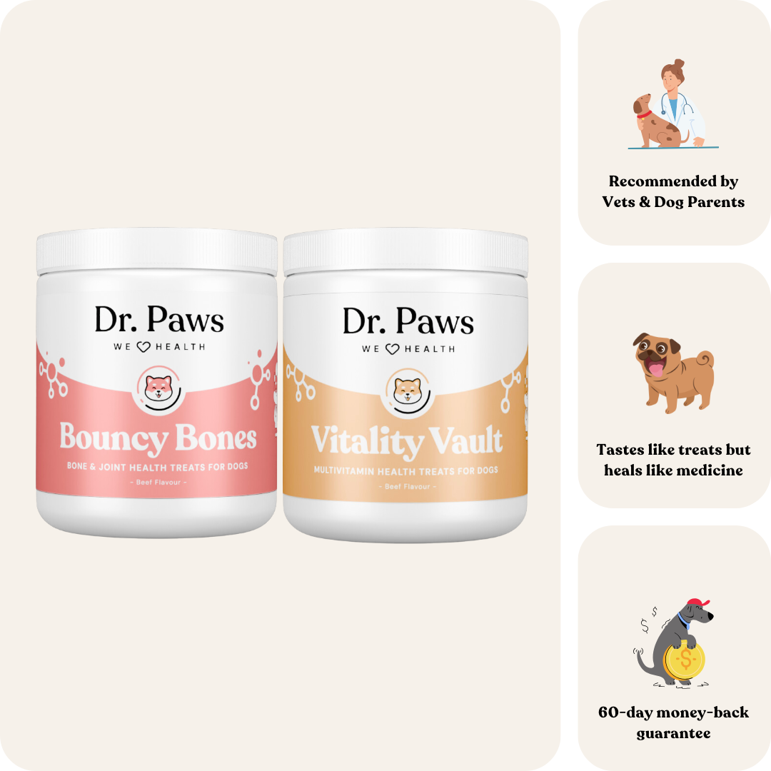Senior Dog Boost Bundle