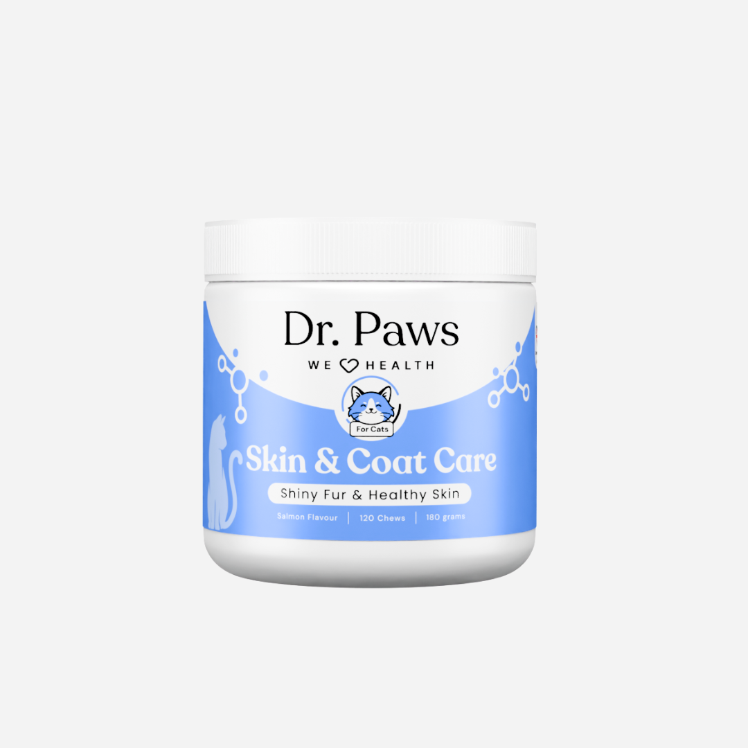 Skin & Coat Care for Cats