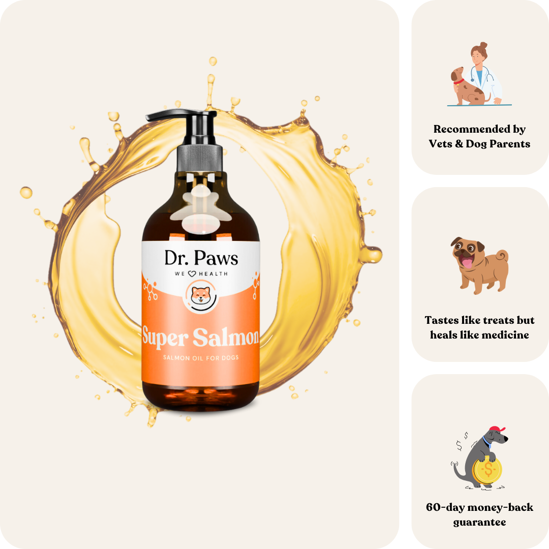 Super Salmon for Dogs