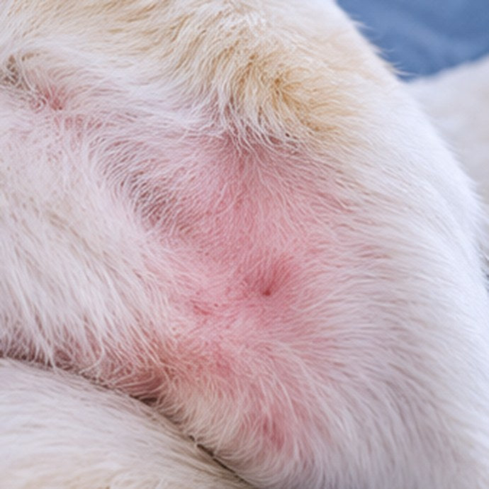 Red, sensitive skin