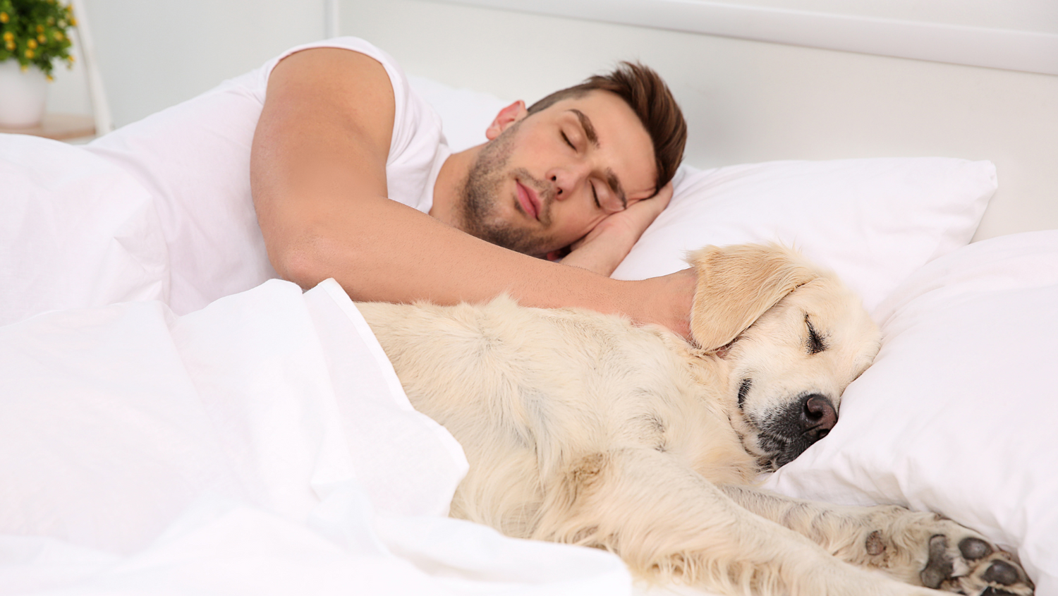 Is it a good idea to sleep with your dog?