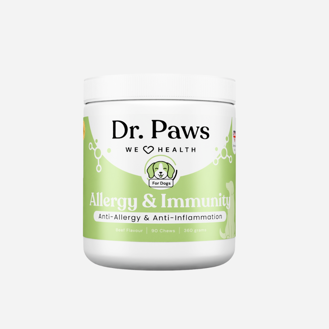 Allergy &amp; Immunity for Dogs