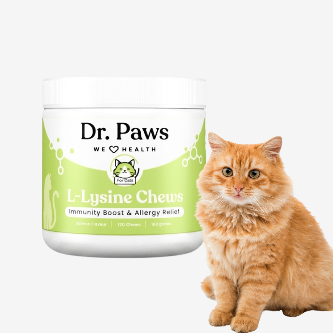 L-Lysine Chews for Cats