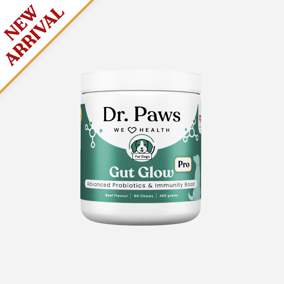 Gut Glow Pro for Dogs
