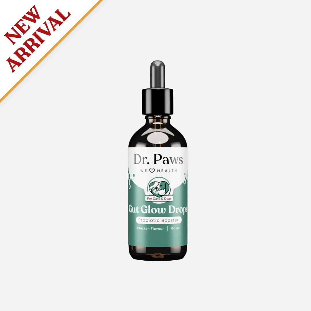 Gut Glow Drops for Cats &amp; Dogs