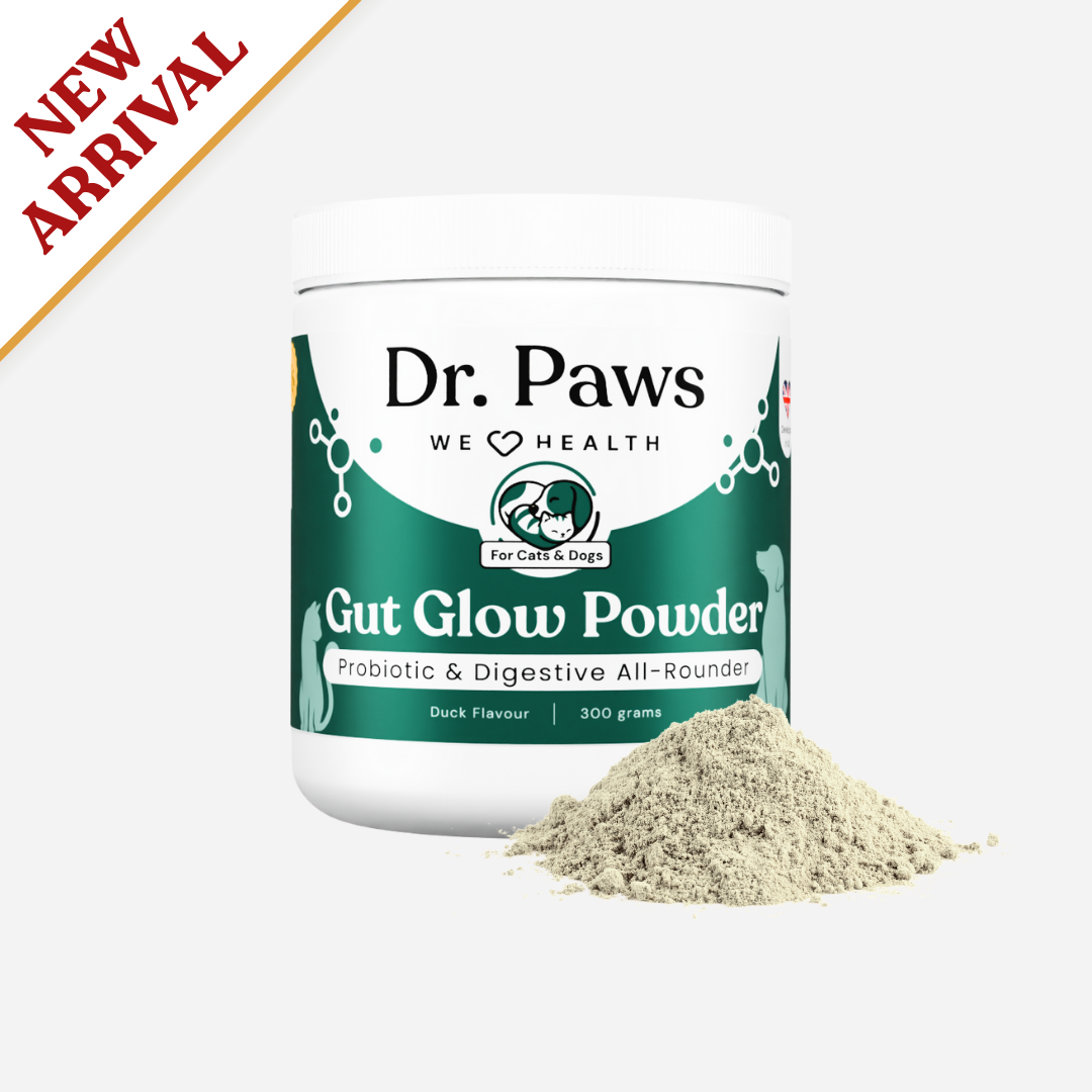 Gut Glow Powder for Cats &amp; Dogs