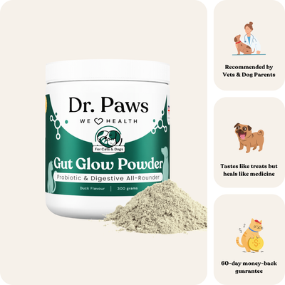 Gut Glow Powder for Cats & Dogs