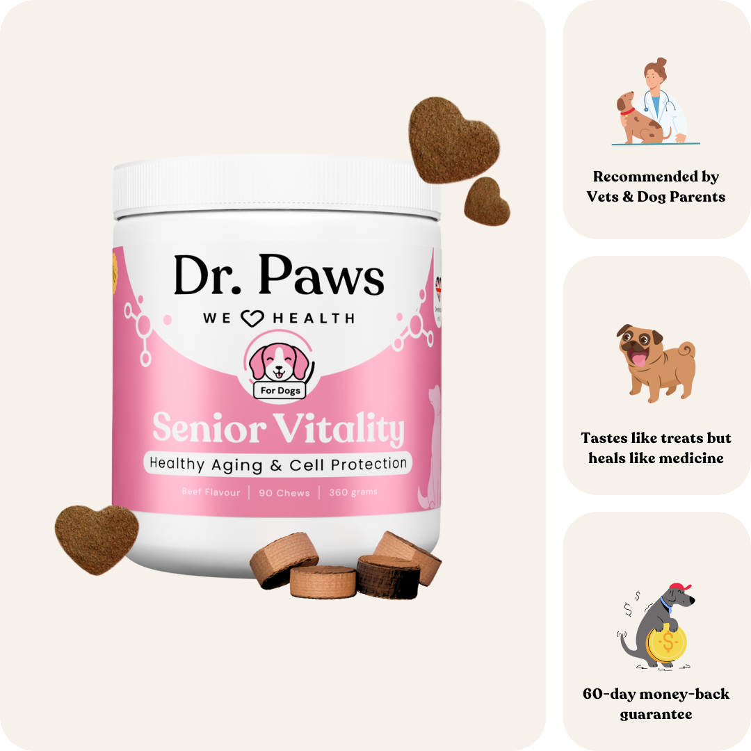 Senior Vitality For Dogs
